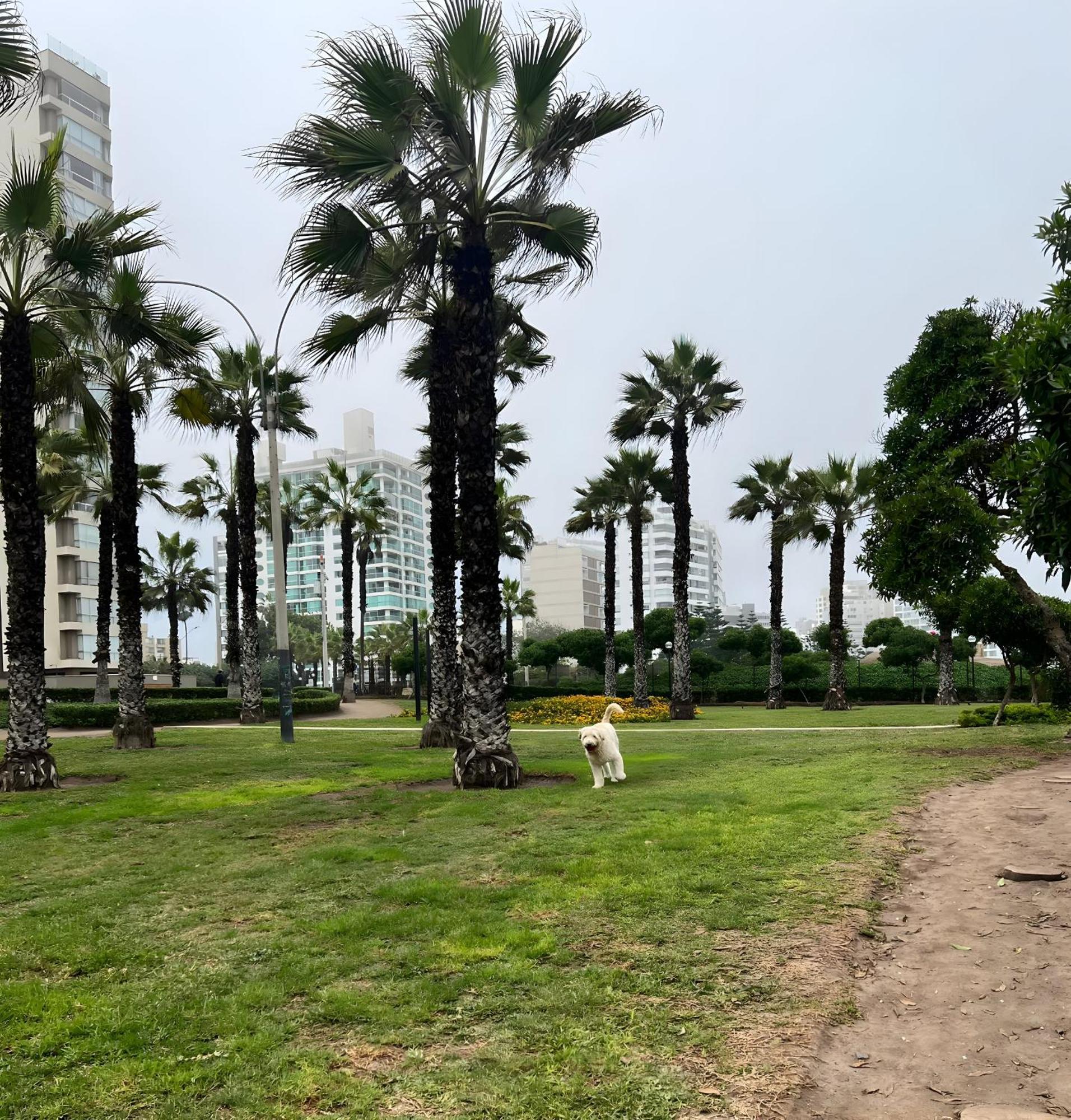 Modern 1Br Loft Close To The Seawalk Of Miraflores Lima Exterior photo